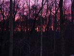 Woody Ridge Photos